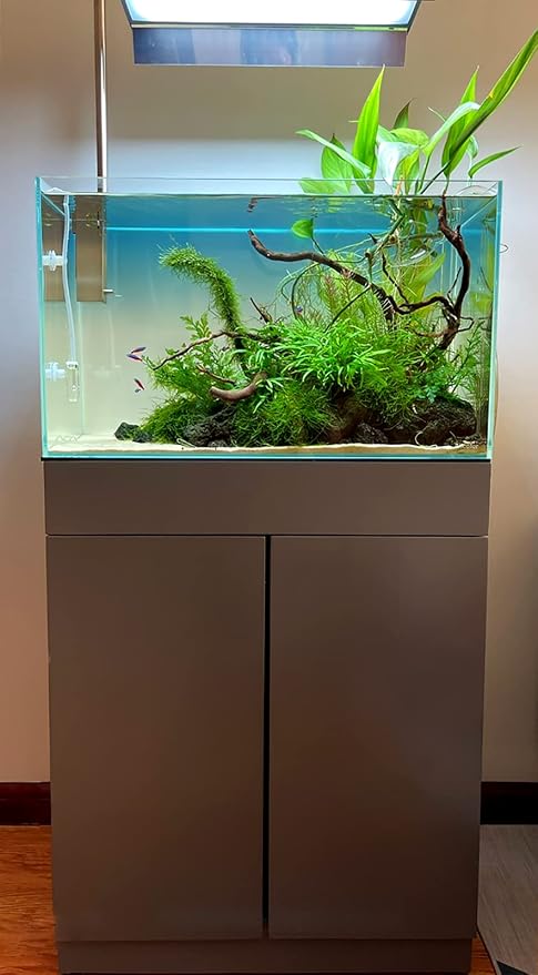 Allcolor Artisan Grade Ultra Clear Rimless Aquarium Tank (21Gal) | Low Iron Glass Fish Tank for Professional Aquascaping and Planted Layouts, 6-60 Gallons (21Gal - Top Glass Canopy)