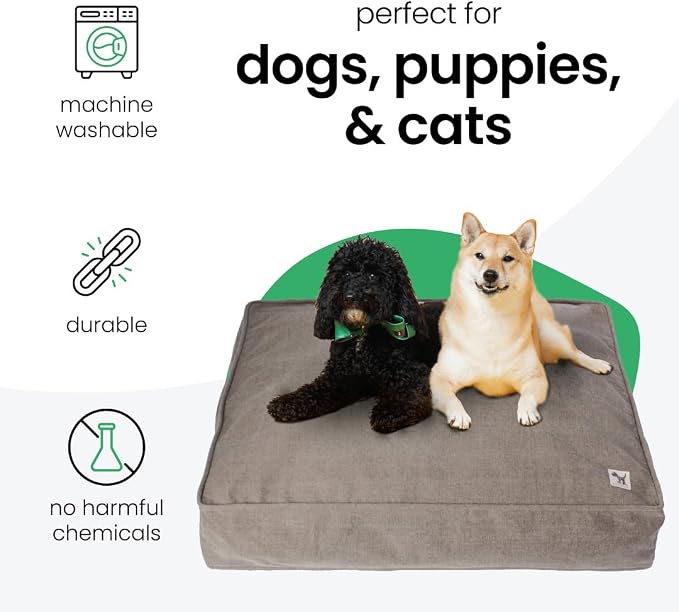 Molly Mutt Jupiter Dog Bed Duvet Cover, GOTS-Certified 100% Cotton Canvas Cover for Dog, Puppy, or Cat Bed, Durable, Washable, and Free of Harmful Chemicals, Medium/Large, 27"x36"x5", Brown