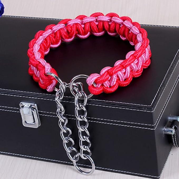 Love Dream Dog Collar and Leash Set, Heavy Duty Nylon Braided Rope Strong 4 FT Dog Leash and Martingale Training Collar for Small Medium Large Dogs Training and Walking (Purple & Pink)