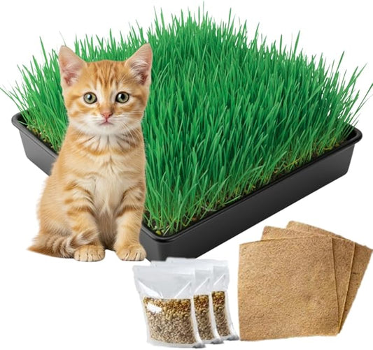 Cat Grass Refill - Cat Lover Holiday Gift - Organic Seed, Jute Grow Mats, No Tools Needed - 10 x 10 Container - Great for Indoor/Outdoor Pets - White Elephant (Refill 3X Jute & 3X Seed Packets)