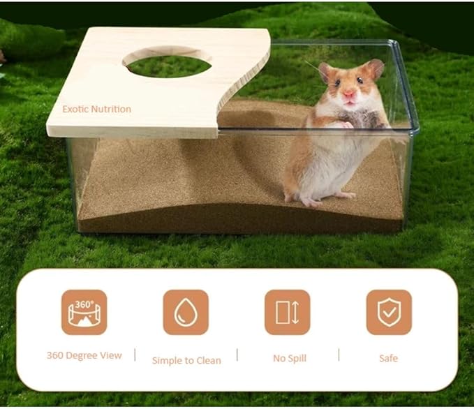 Exotic Nutrition Acrylic Sand Bath House - Fun & Unique Cage Accessory for Hamsters, Gerbils, Chinchillas, and Degus (Large)