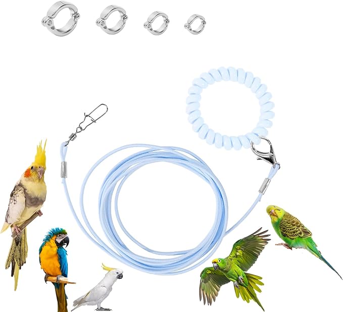 Parrot Flying Rope Lightweight Bird Harness Leash with Foot Ring Leg Band Elastic Bird Flying Leash Outdoor Training Traction Rope for Macaw African Greys Parakeet Cockatoo Sun Conure