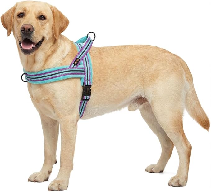 Didog Soft Flannel Padded Dog Vest Harness, No Pull/Quick Fit Reflective Dog Strap Harness, Easy for Training Walking (L:Chest 26-32", Mixed-Blue)