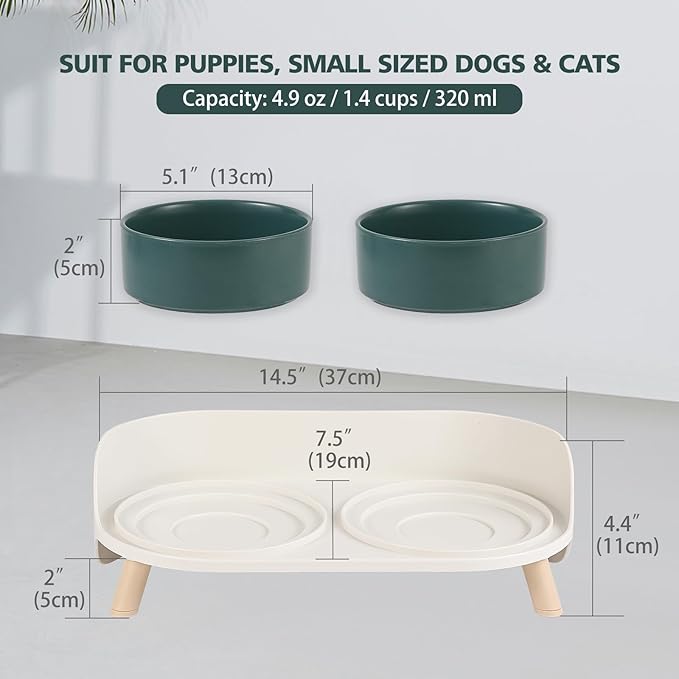 Raised Cat Food and Water Bowl Set - Elevated Ceramic Dishes with Non-Slip Stand and Splash Guard for Small Dogs - 2 x 320 ML (4.9 OZ) - Green