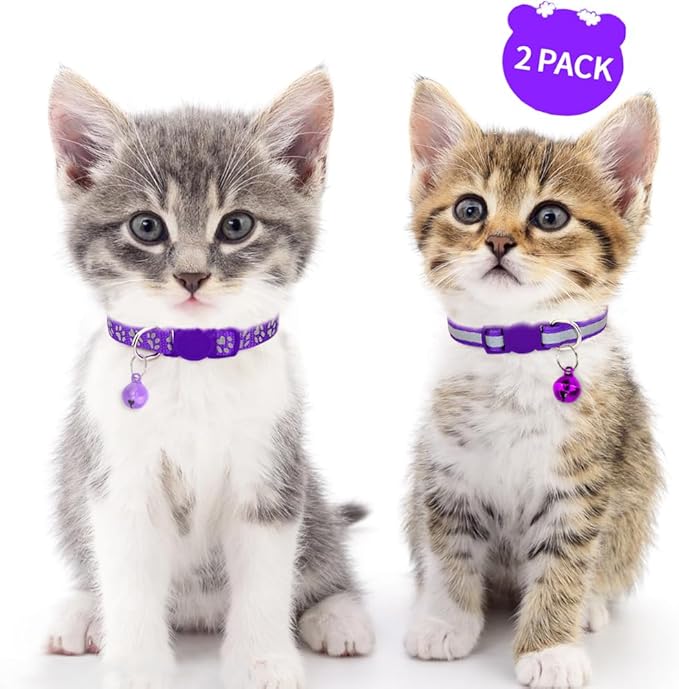 Taglory Kitten Collar Breakaway with Bell, Reflective Soft Cat Collar for Small Kittens, Adjustable 6-8 Inch High Visibility Night Strip, Lightweight for 2-6 Months Baby Cats, 2 Pack, Purple