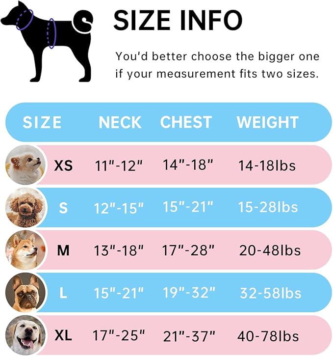IVY&LANE No Pull Dog Harness for Medium Dogs, Dog Vest Harness with Leash, Safety Belt and Storage Strap, Fully Adjustable Harness, 360° Reflective Strip, Soft Handle (Pink, M)