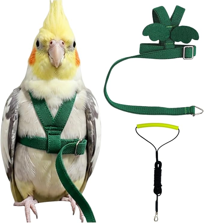 Adjustable Bird Harness with Elastic Leash, Pet Parrot Harness and Leash, Adjustable Training Design Anti-Bite, Bird Nylon Rope with Cute Wing for Conure (Deep Green,2M)