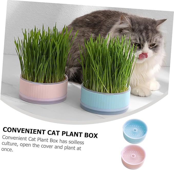 BESPORTBLE 2pcs Hydroponic Cat Grass Planter Soilless Household Planting Box with Design Convenient Growing Kit for Indoor Use Blue Pink
