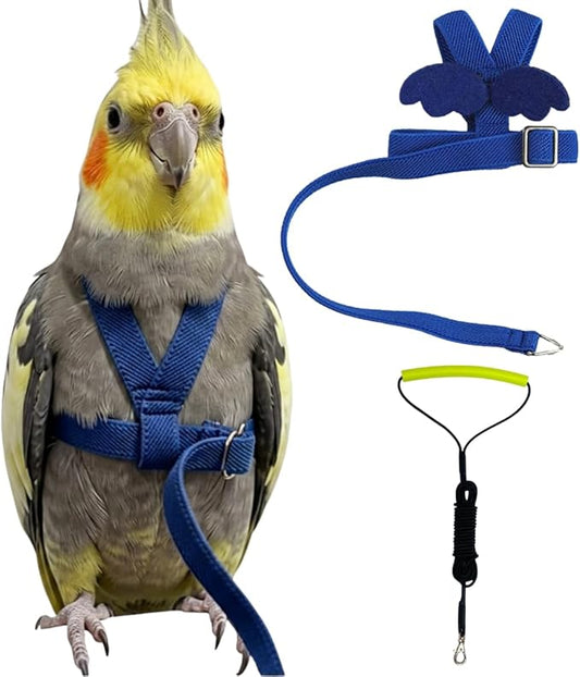 Adjustable Bird Harness with Elastic Leash, Pet Parrot Harness and Leash, Adjustable Training Design Anti-Bite, Bird Nylon Rope with Cute Wing for Conure (Deep Blue,2M)