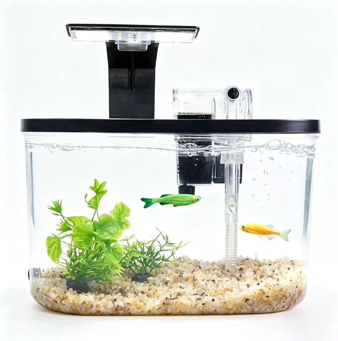 1.7 Gallon Aquarium Starter Kit Complete Small Fish Tank with LED Light & Quiet Filter for Betta, Mini Desktop Acrylic Tank, Ideal for Shrimp Guppy Jellyfish Goldfish, Office, Home, or Gift