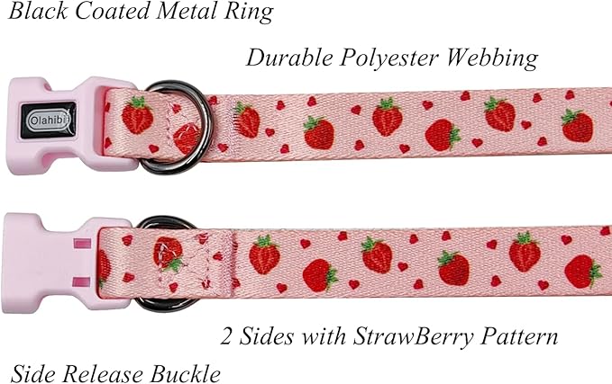 Dog Collar Leash Set, Fruit Pattern, Polyester Material, Adjustable Collar and 5ft Matching Leash, for Large Dogs.(L, Strawberry)