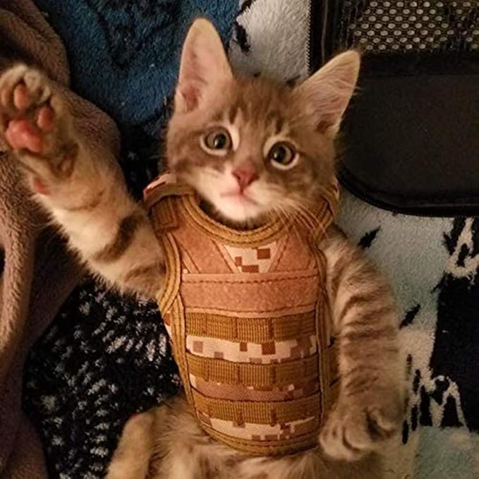 Ferret Clothes Small Animals Harness Military Style Adjustable Shoulder Straps Soft Mesh Comfort Durable Nylon Padded Vest Ferret Guinea Pig Hamster Bunny Kitten Puppy Small Pet Clothes Accessory