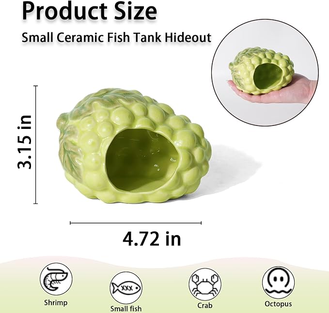 Ceramic Aquarium Decor Cute Grape Green Betta Fish Tank Hide | Smooth-Surface Safe for Fish Hiding & Breeding, Easy-Clean, No Assembly, for Play & Rest,Fits 3-5 Gallon Fish Tanks