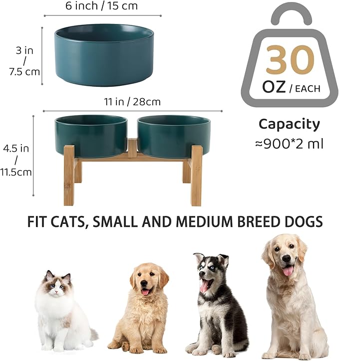 Raised Ceramic Dog Bowl Set - Elevated Dog Bowls with Non Slip Bamboo Stand, Food and Water Bowl Set for Small and Medium Breed Dogs, Pet Bowls, Weighted Dogs Dishes (6'', 2 * 30OZ, Green)