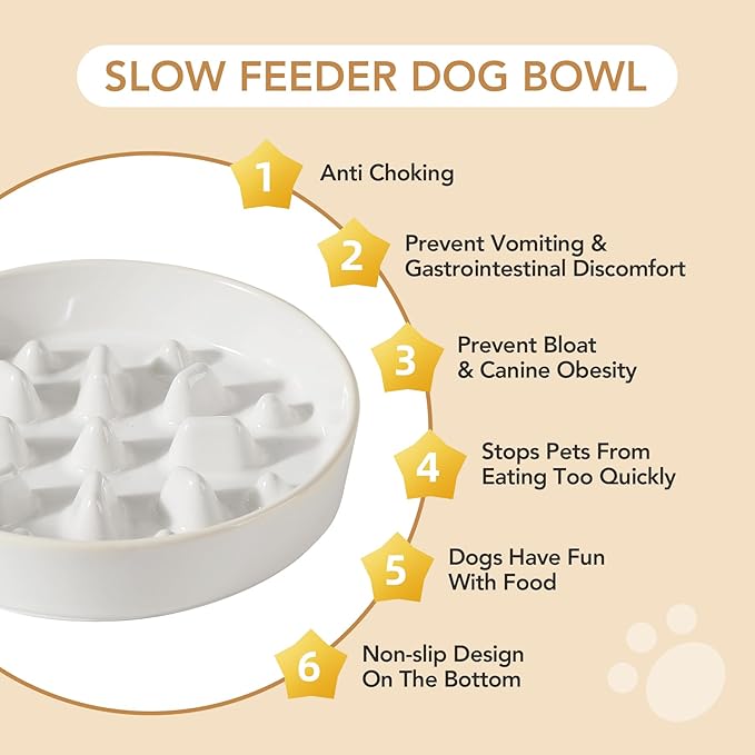 Havniva Elevated Slow Feeder Dog Bowls, 1.6 Cups/8.2 inch Slow Feeders + 7.3 inch Ceramic Dog Food & Water Bowls Set with Acacia Wood Stand Puzzle Bowls for Fast Eater, Medium Dogs Anti-Choking
