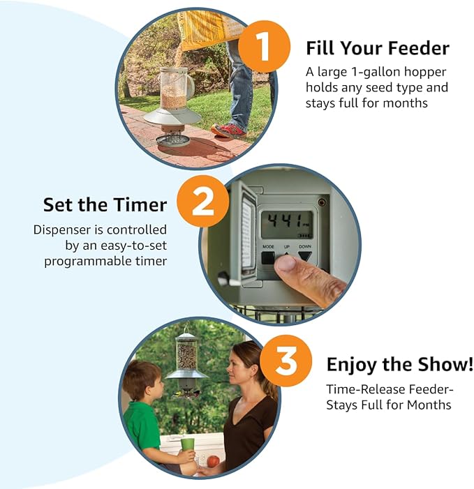 AUTOFEEDER Bird Feeder, Programmable, Automatic Time Released, Battery-Powered, Removable Lid, Squirrel Proof, Weather Resistant, 360 Degree Perch, Large Capacity - Classic Green