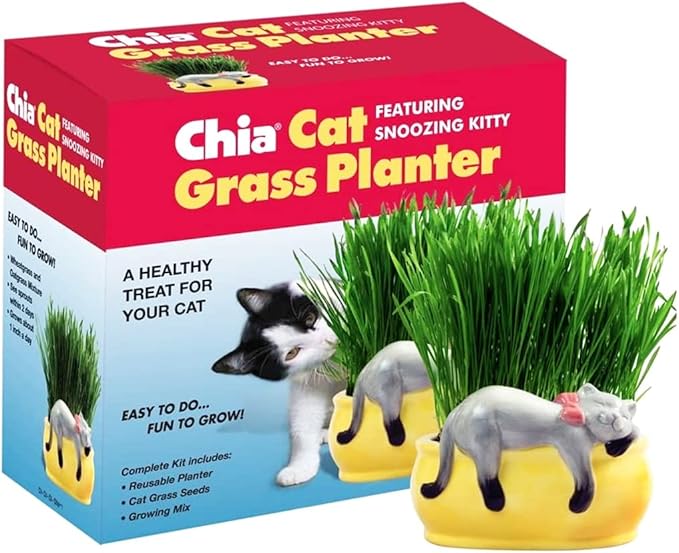 Chia Pet Kitty Cat Grass, Decorative Pottery Planter, Easy to Do and Fun to Grow, Novelty Gift, Perfect for Any Occasion