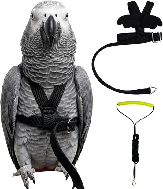 Adjustable Bird Harness with Elastic Leash, Pet Parrot Harness and Leash, Adjustable Training Design Anti-Bite, Bird Nylon Rope with Cute Wing for Conure (Black,XXL)