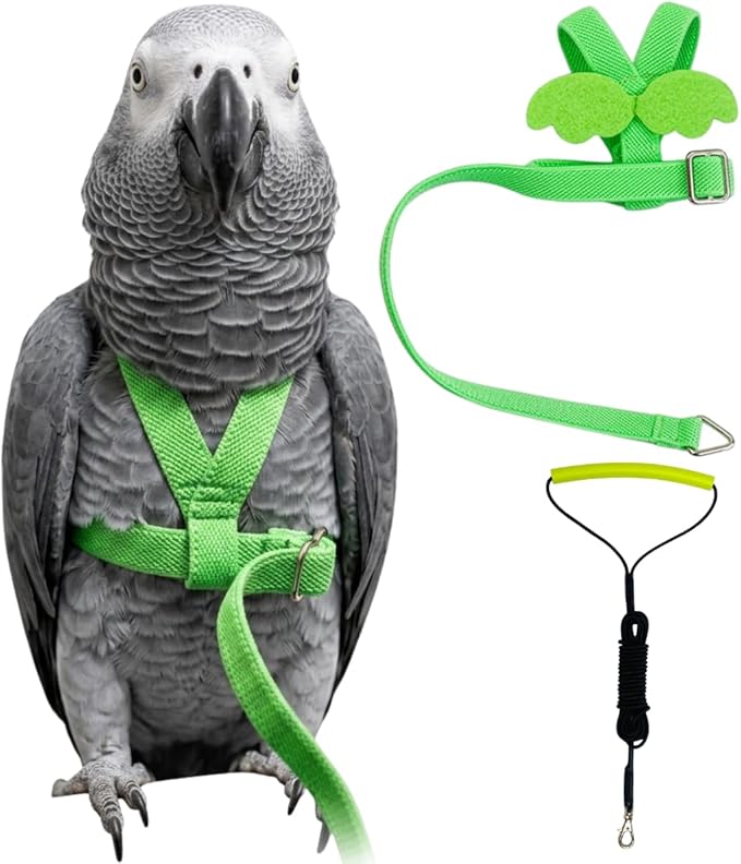 Adjustable Bird Harness with Elastic Leash, Pet Parrot Harness and Leash, Adjustable Training Design Anti-Bite, Bird Nylon Rope with Cute Wing for Conure (Green,XXL)