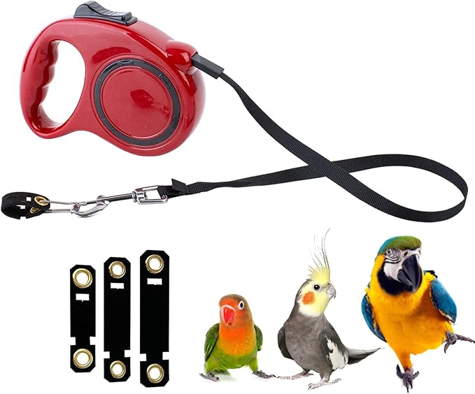 Retractable Bird Leash, 9.8ft Anti-Bite Bird Harness, Adjustable Parrot Harness with 3 Sizes Foot Rings, Outdoor Flying Harness for Macaws, Cockatiels, Macaws, Conures, Parrot, Parakeet
