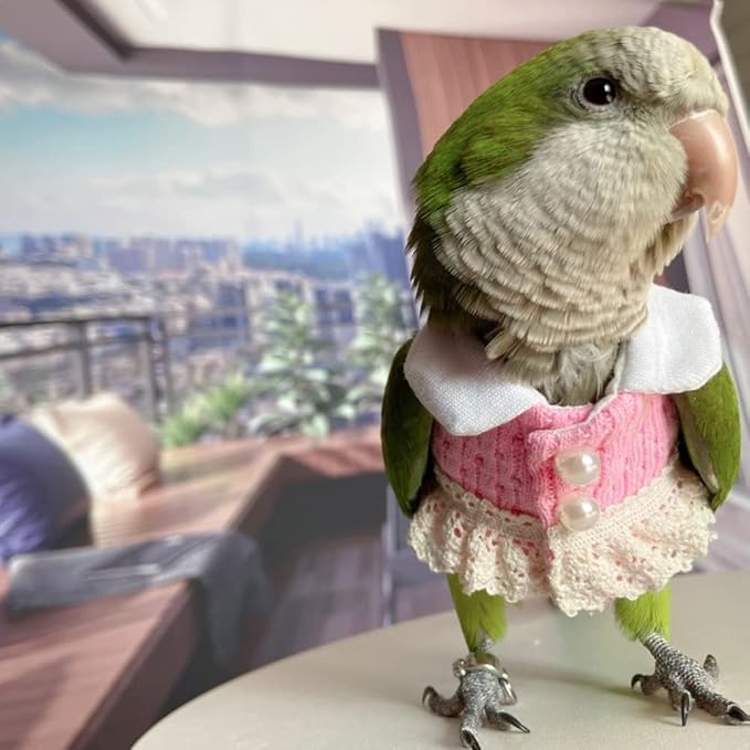 Hahn's Macaw Bird Diaper Flight Suit - Pink Top Cosplay Photo Prop for Parrots, Lovebirds, Parakeets, Cockatiels & Small Animals