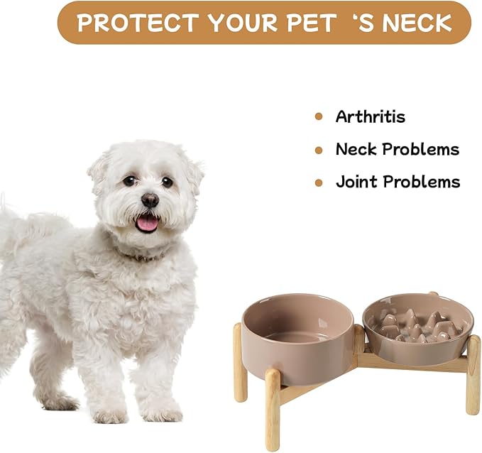 Havniva Ceramic 0.9 Cup Raised Slow Feeder Dog Bowl Set, Elevated 6.1inch Slow Dish and 6.1inch Water Bowl with Wooden Stand for Small Dogs (2 x Brown Coffee+ Stand)