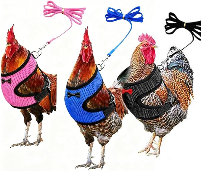 Chicken Harness and Leash Set Adjustable Mesh Breathable Duck Training Harness Pets Leashs for Goose Hen Rooster Parrots Dog Kitten, Pink M