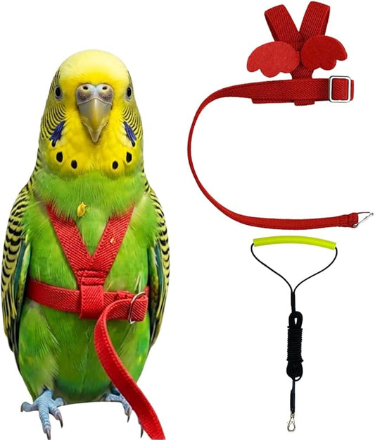 Adjustable Bird Harness with Elastic Leash, Pet Parrot Harness and Leash, Adjustable Training Design Anti-Bite, Bird Nylon Rope with Cute Wing for Conure (Red,XS)