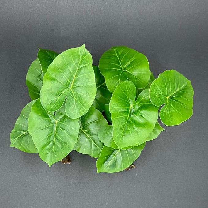 Fish Tank Decor Aquarium Decorations Ornaments Betta Leaf pad Hammock 6inch Plastic Artificial Plant Goldfish Fish Hides Small Tank/Reptiles Plants Driftwood (Green-Type-A-Set)