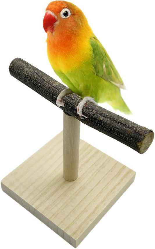 Portable Tabletop Bird Perch, Parrot Training Stand, Natural Wood Bird Play Stands for Parakeets Conures Finches Lovebirds or Cockatiels