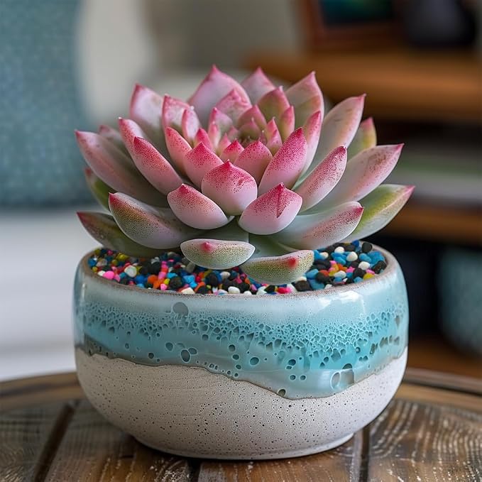 0.88 LB Colored & Black Pea Gravel,Succulent Cactus Topper Dressing Pebbles | Colorful Pearlized Stones,Bonsai Soil Cover,Terrarium Fairy Garden Landscape,Vase Fillers,Fish Bowl,Home Decor,3-6mm