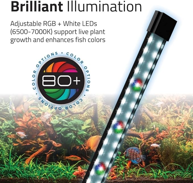 Fluval Flex 2.0 Aquarium Kit - Freshwater Fish Tank with Curved Glass - Includes 7500K LED Light, Lid and 3-Stage Filtration System (9 Gallon)
