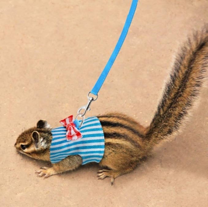 Hypeety Small Animal Harness Vest and Leash Set Soft Mesh Small Pet Harness Hamster Rabbit Chest Back Outdoor Leash Traction Rope for Rabbit Ferret Guinea Pig Kitten Clothes Accessory (M, Blue Stripe)
