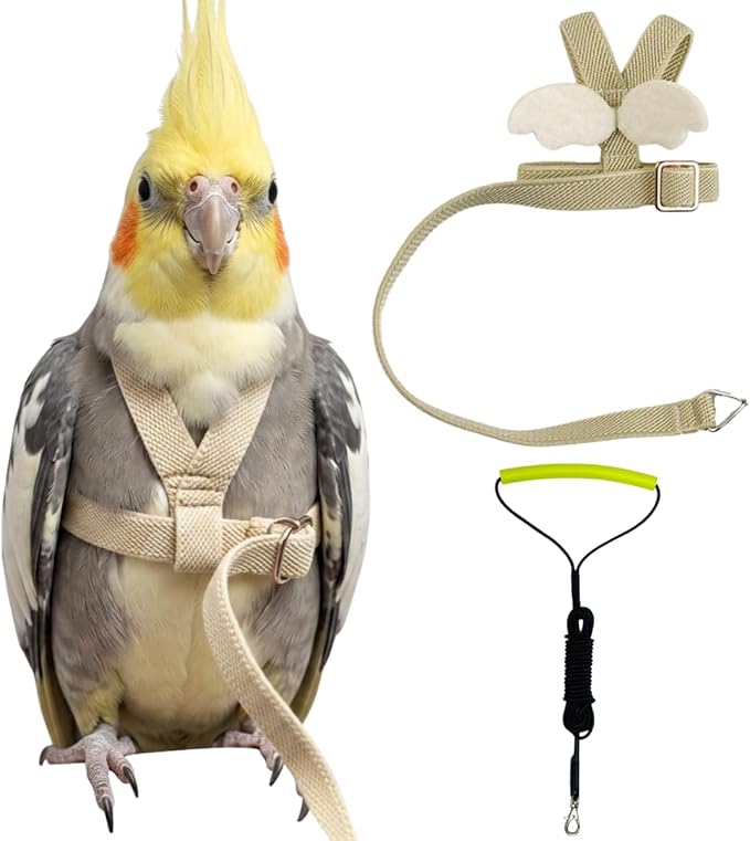 Adjustable Bird Harness with Elastic Leash, Pet Parrot Harness and Leash, Adjustable Training Design Anti-Bite, Bird Nylon Rope with Cute Wing for Conure (Beige,2M)