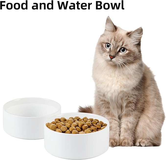 Havniva 5.1” Dog Bowl Ceramic Dog Food and Water Bowl Set of 2, Durable Dog Water Bowl with Non-Slip Rubber Base Large Capacity Feeding Dishes for Small Dogs
