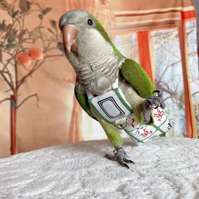 Bird Diaper Harness Flight Suit Clothes, Parrot Flight Suit with Leash for Parrot, Bird Flying Clothes with Rope and Handle for Outdoor Activities Training (Without Leash,Necked Parakeet)