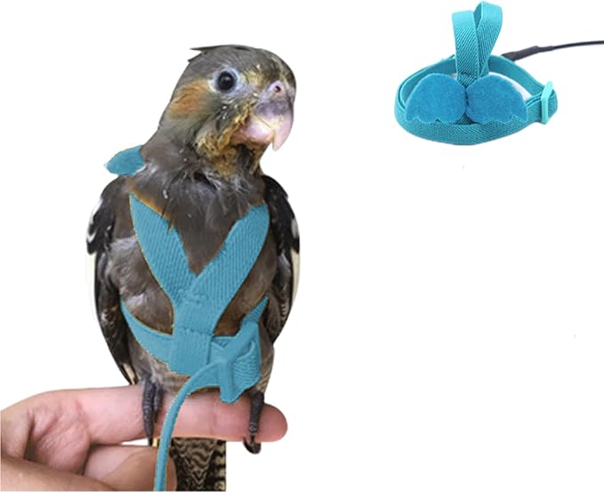 Bird Harness Parrot Leash -Adjustable Outdoor Flying Kit for Parrot Budgie Lovebird Cockatiel Macaw Parakeet (Blue,L)