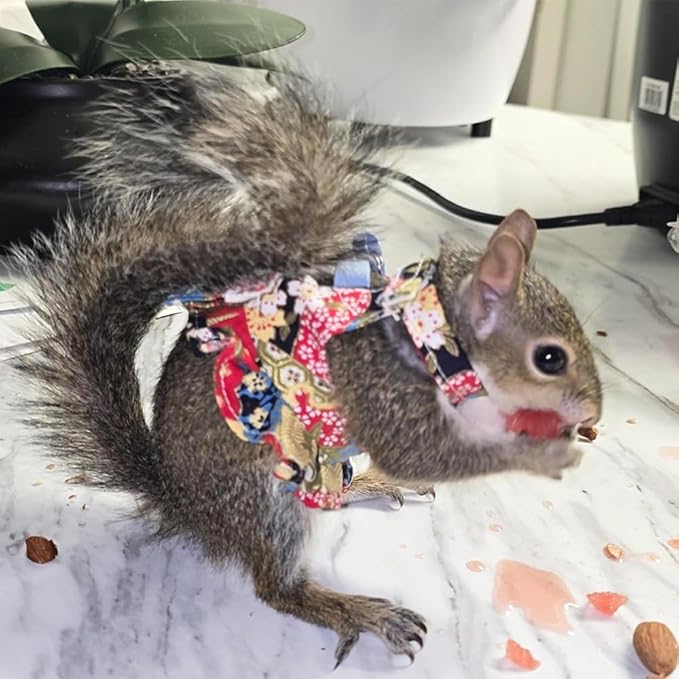 3 Sets Squirrel Leash and Harness Set,Traction Rope Strap, Ferret Harness Vest, Adjustable Flora Small Animal Harness Vest for Ferret, Dwarf Chinchilla, Guinea Pig, Fancy Rat (Medium)