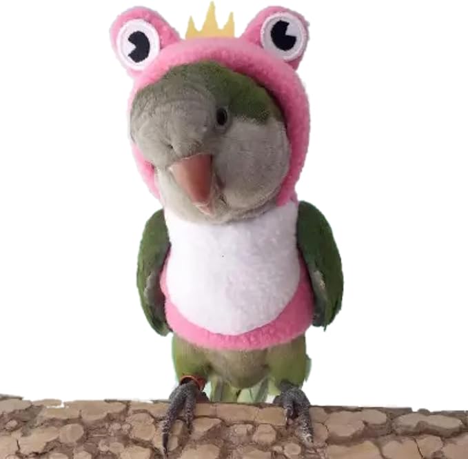 Bird Costume Diaper Flight Suit Frog Shape Hoodie Clothes Cosplay Photo Prop for Parrots Parakeet Cockatiel Sun Conure, Small Animals Apparel (Pink Without Diaper, Small), Green