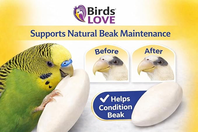 Birds LOVE 7.5-8" Cuttlebone for Birds – 100% Natural Sun-Dried Calcium Carbonate Mineral Supplement – for Parakeets, Budgies, Cockatiels, Finches & Canaries – 1 Pack with Holder – Made in Vietnam