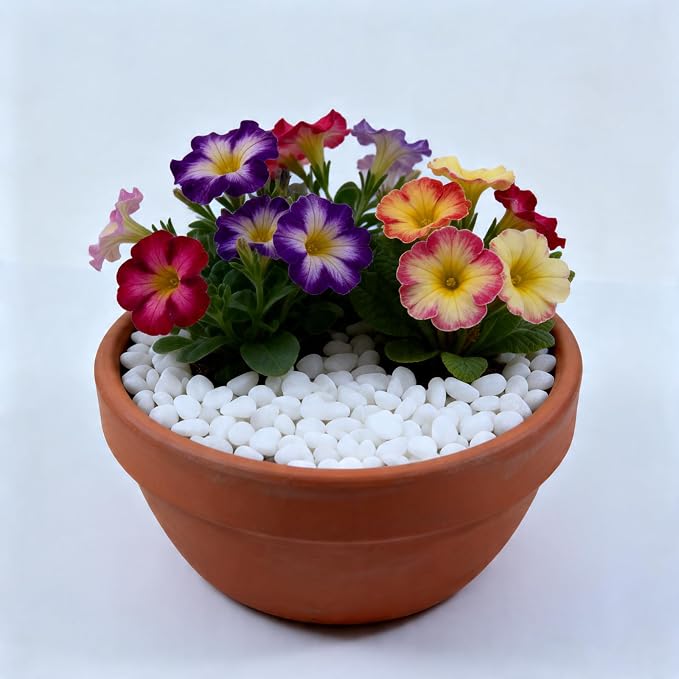 Colored Aquarium Gravel,Colorful Pea Gravel,Garden Rocks,Decorative Stones Rocks for Fish Tank,Aquarium,Fairy Garden Decor,Planters,Vase Fillers,Landscaping,1 Pound (White, 6-9mm)