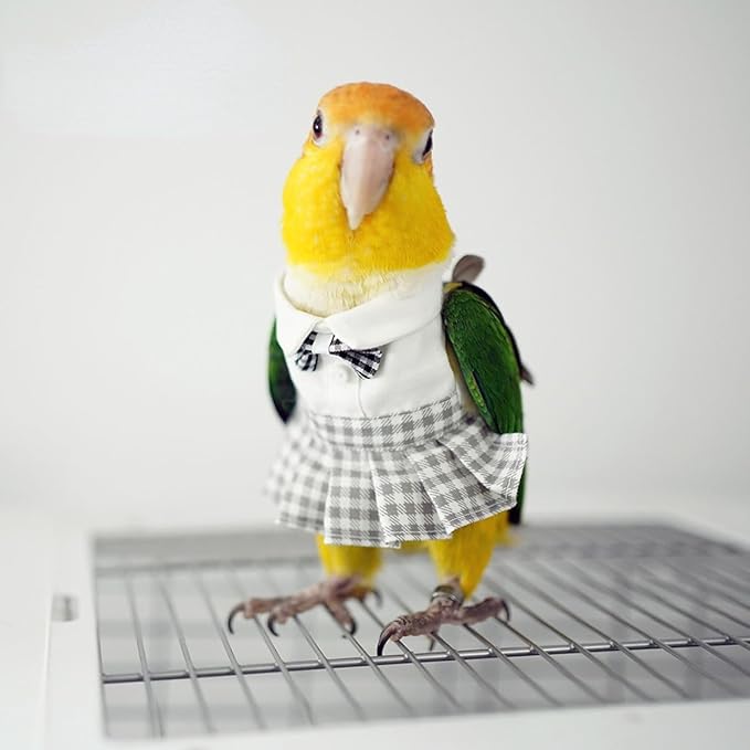Bird Costume Bird Diaper Flight Suit Cute JK Dress Dress Skirt Clothes Cosplay Photo Prop for Parrots Macaw Cockatoo (Without Diaper,2XL)