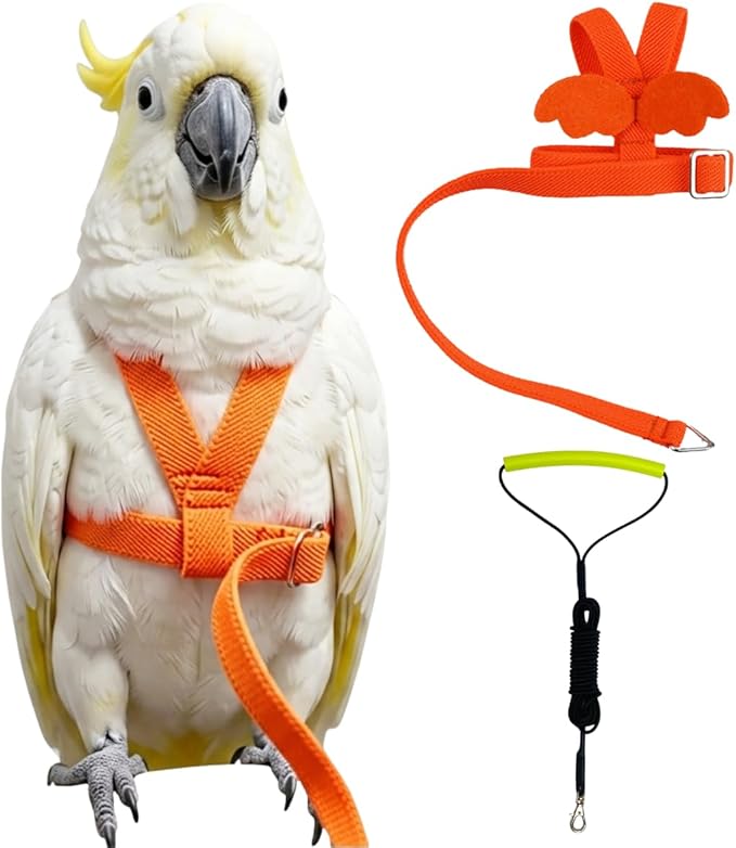 Adjustable Bird Harness with Elastic Leash, Pet Parrot Harness and Leash, Adjustable Training Design Anti-Bite, Bird Nylon Rope with Cute Wing for Conure (Orange,Sulphur-Crested Cockatoo)