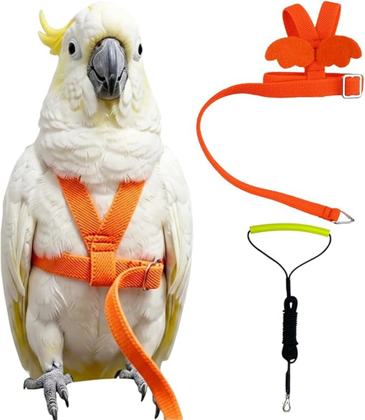 Adjustable Bird Harness with Elastic Leash, Pet Parrot Harness and Leash, Adjustable Training Design Anti-Bite, Bird Nylon Rope with Cute Wing for Conure (Orange,Sulphur-Crested Cockatoo)