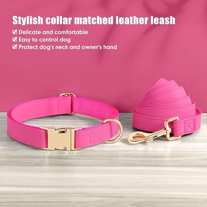 PET ARTIST Soft PU Leather Dog Collar and Leash Set, Bright & Stylish 5FT PU Leather Leash and Collar Set, Durable Pet Collars with Quick Release Metal Buckle for Small Dogs,Hot Pink,S(9"-14")