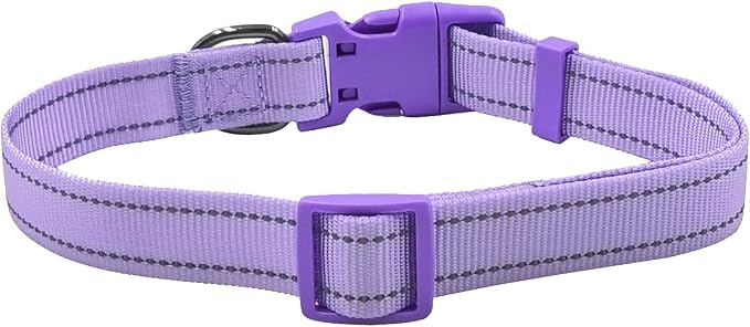 Dog Collar Leash Set, with Relfective Strips, Lilac Purple, Medium. | Adjustable Collar,5 ft Matching Leash,Neoprene Padded Handle.