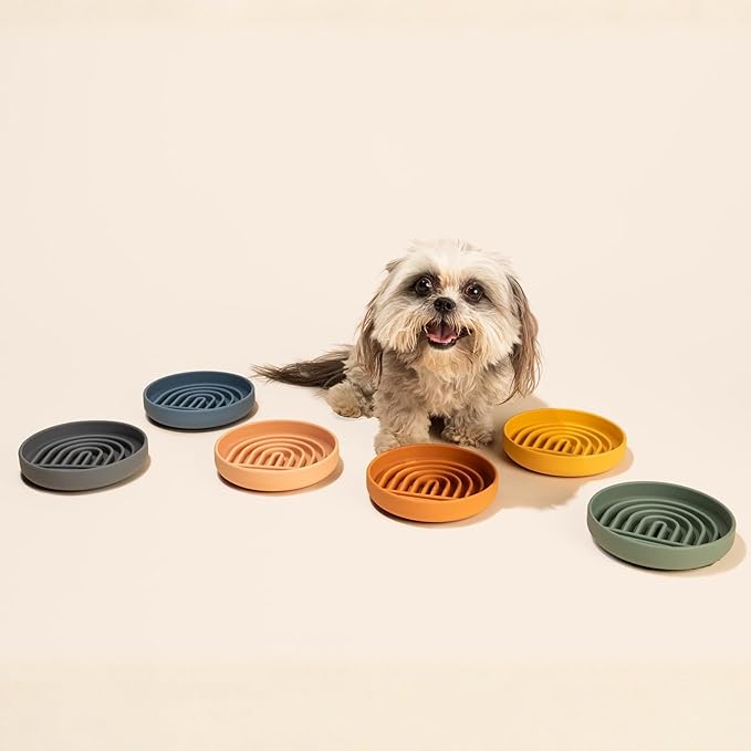 Should We Go? Slow Feeder for Dogs & Cats, The Slowdown Bowl Silicone Slow Eating Mealtime Solution with Modern Lick Mat Design, Reduces Gulping, Fits 1 Cup, 6” Across x 1.25” Tall, Small-Honey