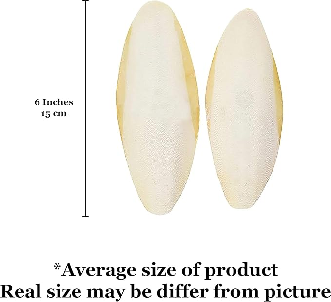 SunGrow Large Cuttlefish Bones for Cockatiels, Turtles, Shrimp, Dog Calcium Supplement, Cage Holder Included, 2 Pieces per Pack