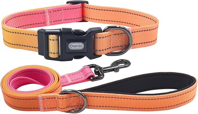 Dog Collar Leash Set, Gradient Color, with Safety Reflective Strips, 5 ft Matching Leash, Neoprene Padded Handle, Adjustable 4 Sizes for Small Medium Large Dogs.(L, Orange Pink)