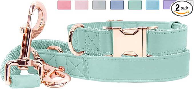 Soft Leather Dog Collar and Leash (6.6') Set - Stylish Rose Gold Heavy Duty Metal Buckle, 4 Adjustable Lengths Leash for Small Medium Large Dogs - Comfortable & Easy to Clean Mint Green L(15.4"-24.8")